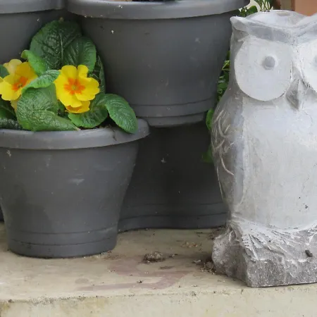 Haus Waldzauber Apartment Neuhausel