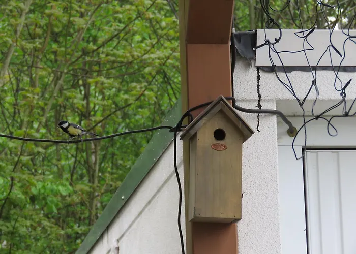 Apartamento Haus Waldzauber